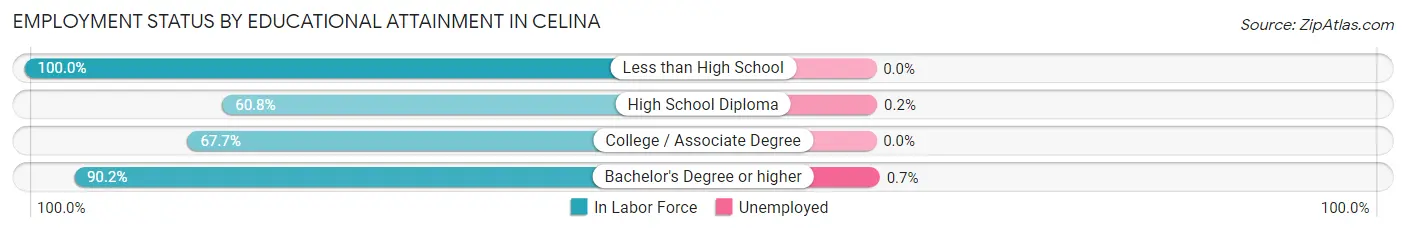 Employment Status by Educational Attainment in Celina