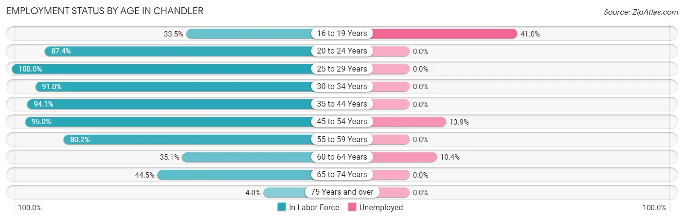 Employment Status by Age in Chandler