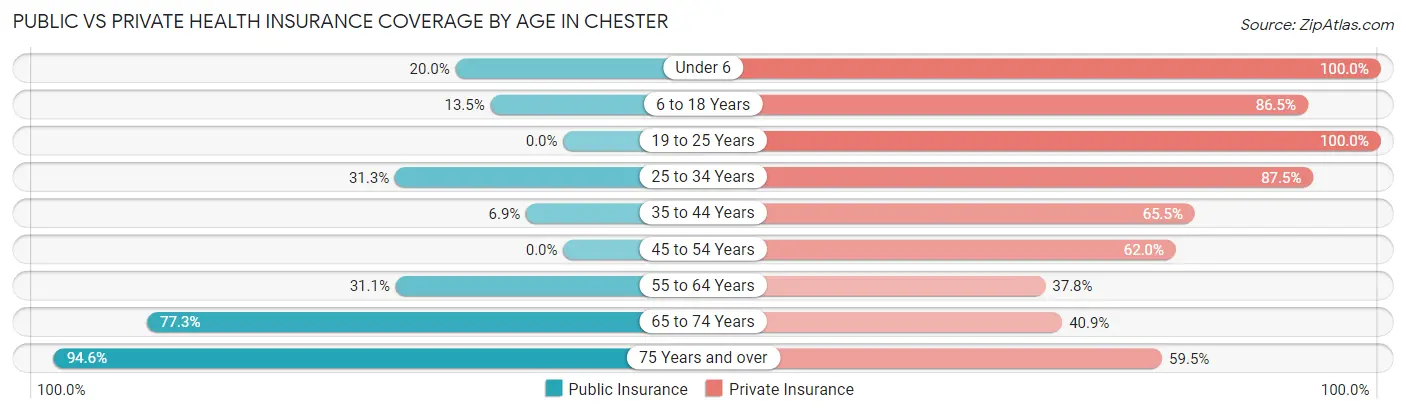 Public vs Private Health Insurance Coverage by Age in Chester