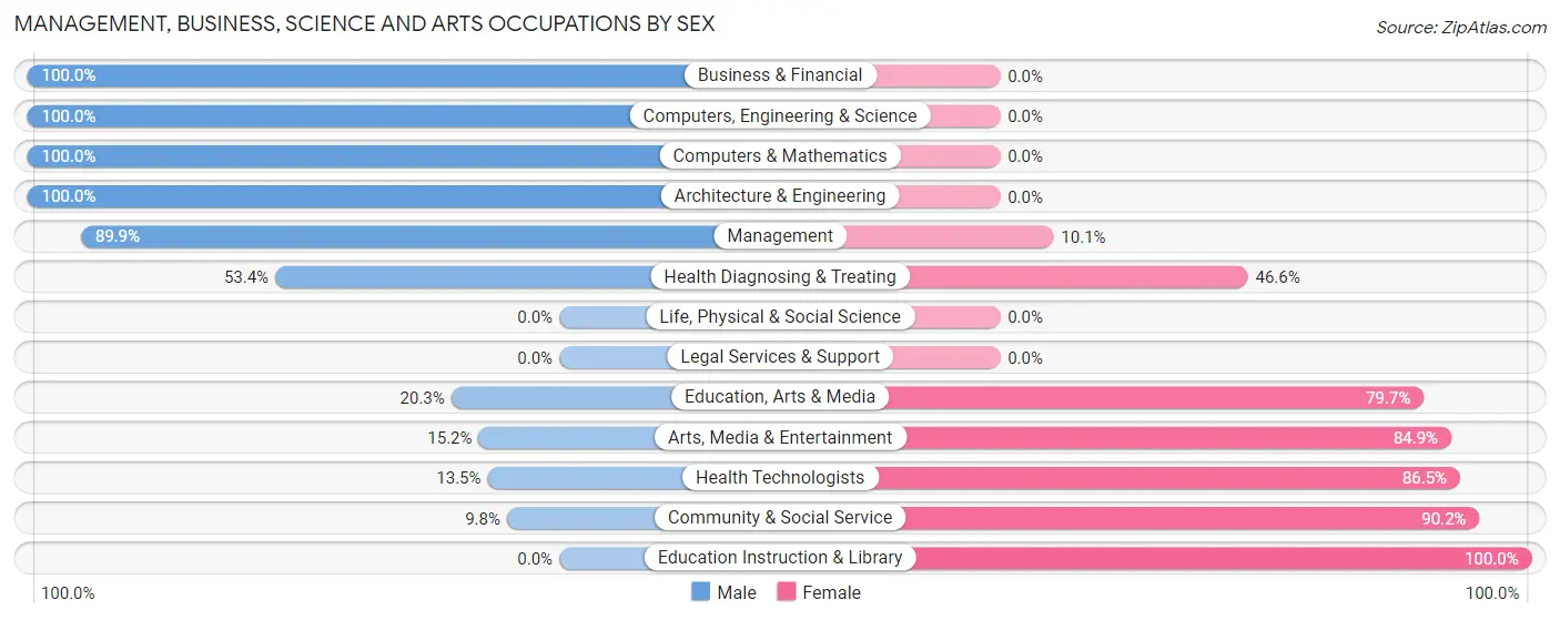 Management, Business, Science and Arts Occupations by Sex in Childress