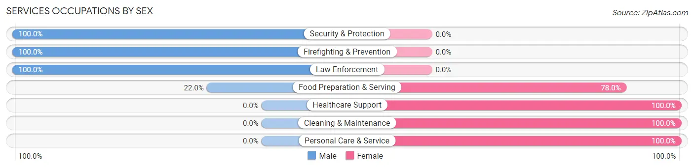 Services Occupations by Sex in Childress