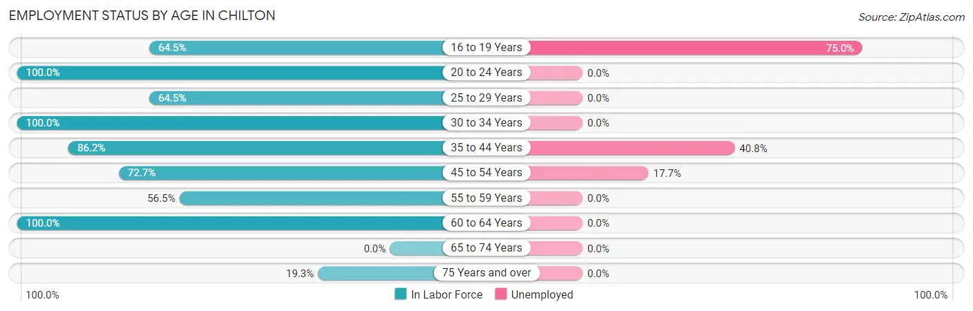 Employment Status by Age in Chilton