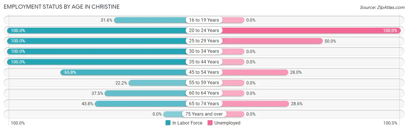 Employment Status by Age in Christine