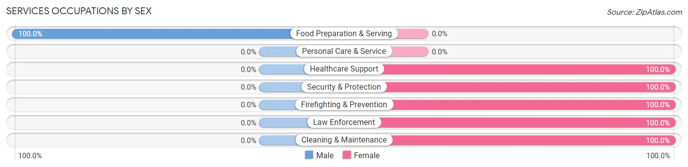 Services Occupations by Sex in Christine