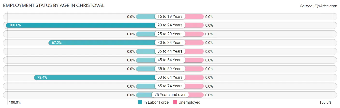Employment Status by Age in Christoval