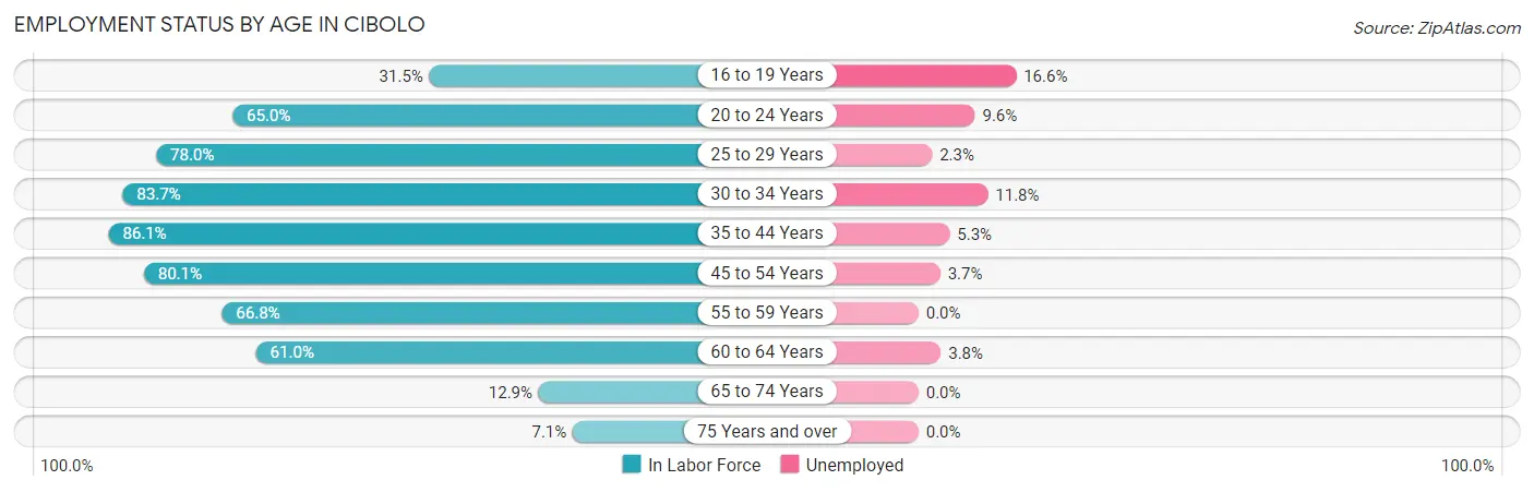 Employment Status by Age in Cibolo