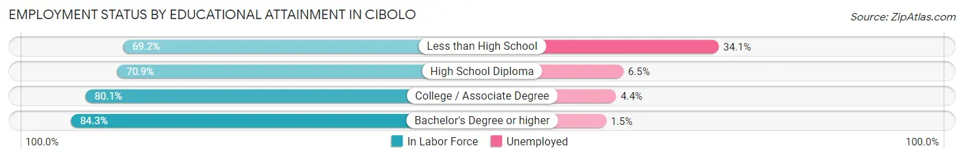 Employment Status by Educational Attainment in Cibolo