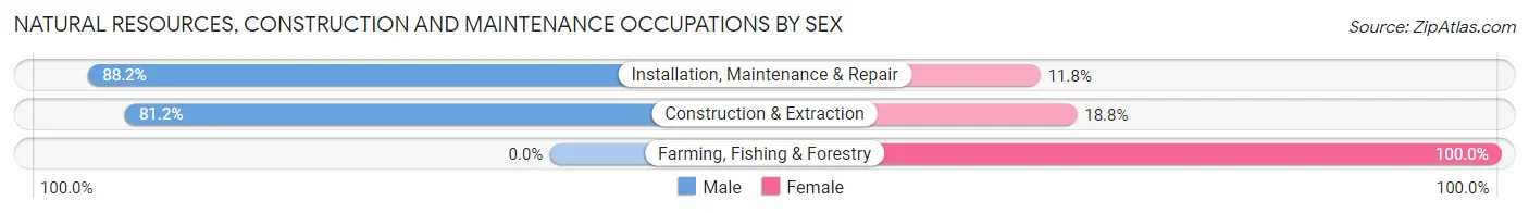 Natural Resources, Construction and Maintenance Occupations by Sex in Cibolo
