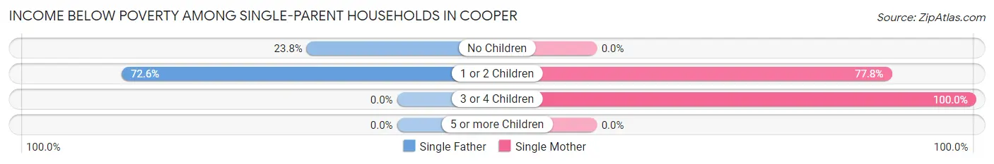 Income Below Poverty Among Single-Parent Households in Cooper