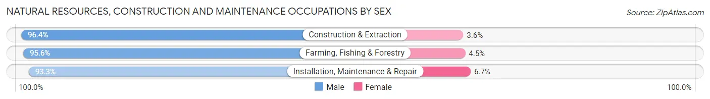 Natural Resources, Construction and Maintenance Occupations by Sex in Corpus Christi