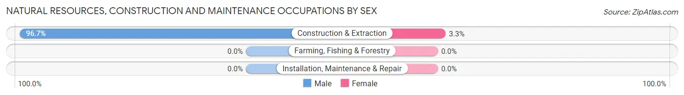 Natural Resources, Construction and Maintenance Occupations by Sex in Coupland
