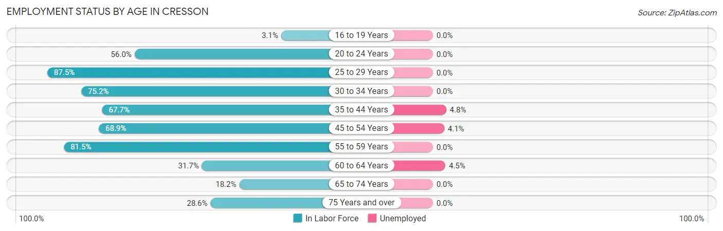 Employment Status by Age in Cresson