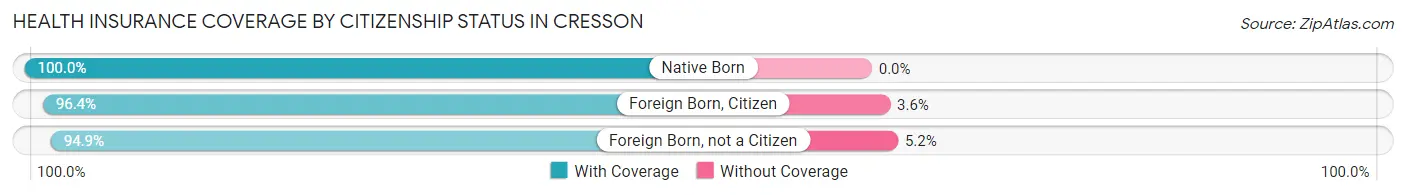 Health Insurance Coverage by Citizenship Status in Cresson