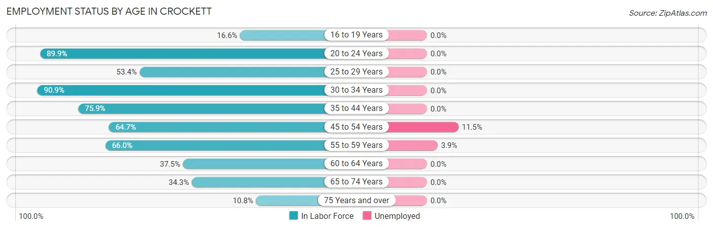 Employment Status by Age in Crockett