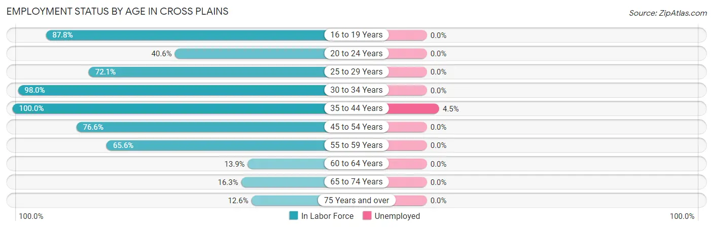 Employment Status by Age in Cross Plains
