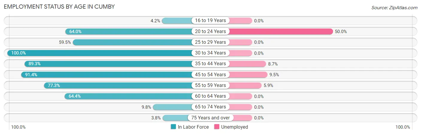 Employment Status by Age in Cumby