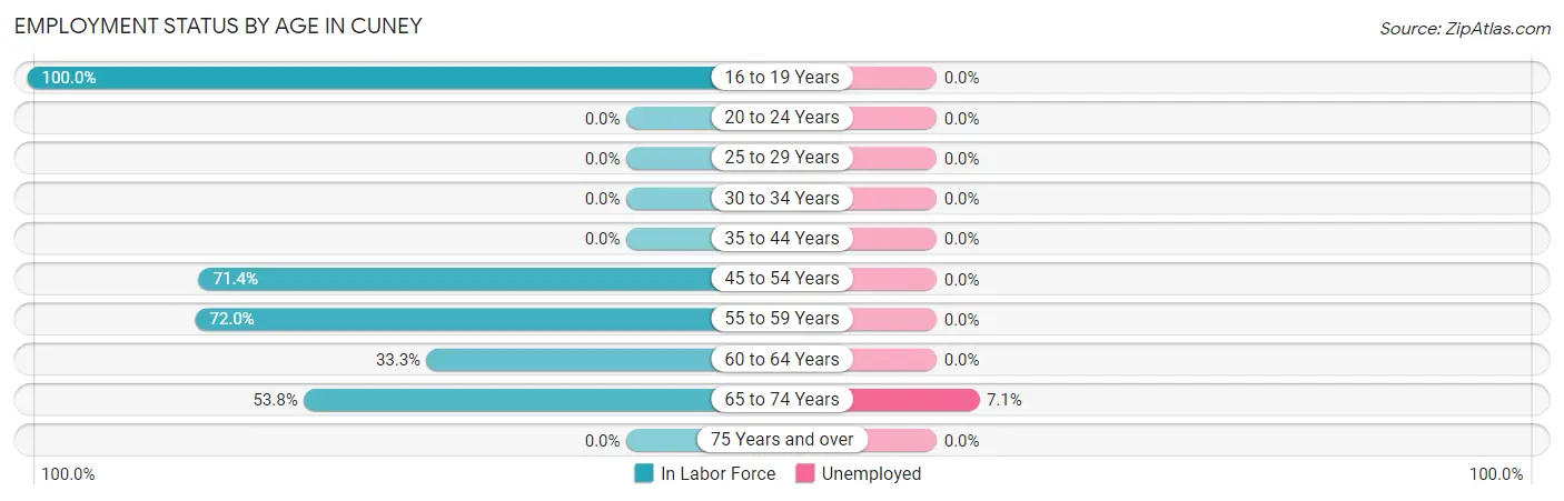 Employment Status by Age in Cuney