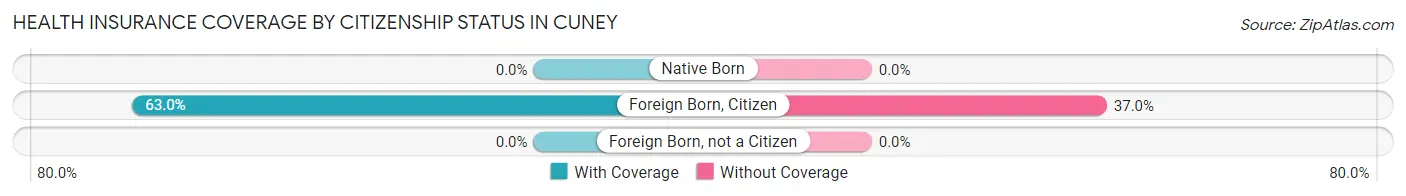Health Insurance Coverage by Citizenship Status in Cuney