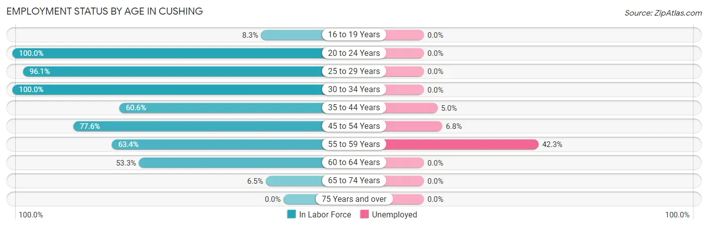 Employment Status by Age in Cushing