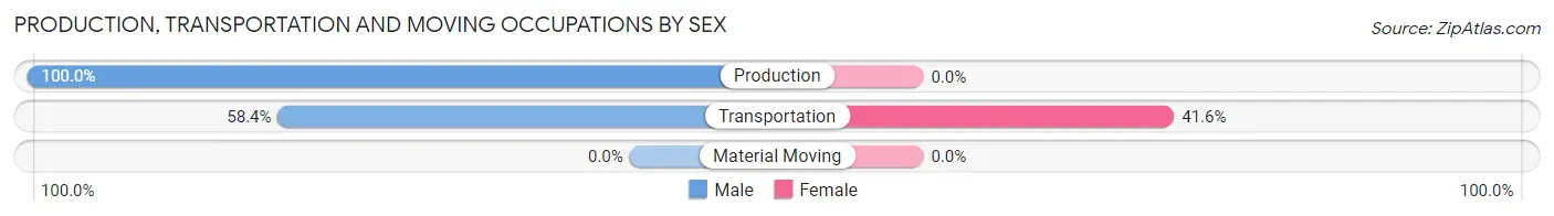 Production, Transportation and Moving Occupations by Sex in Denver City