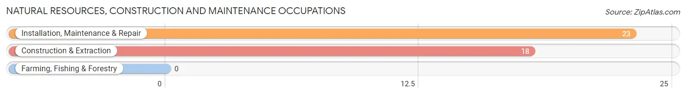 Natural Resources, Construction and Maintenance Occupations in Deport