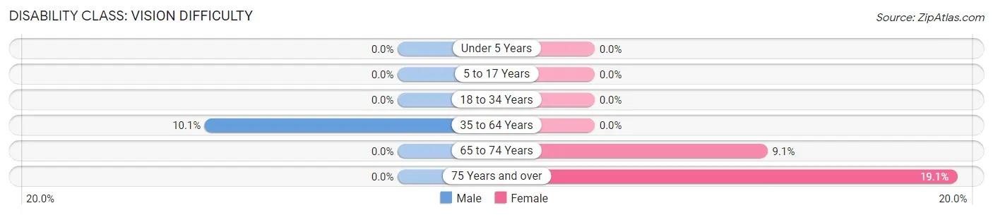 Disability in Devers: <span>Vision Difficulty</span>