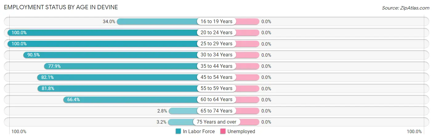 Employment Status by Age in Devine