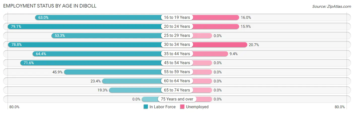 Employment Status by Age in Diboll