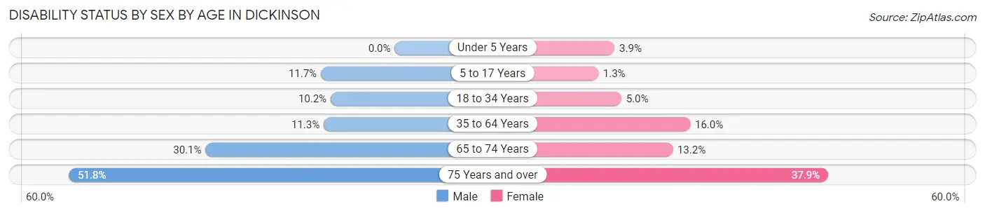 Disability Status by Sex by Age in Dickinson