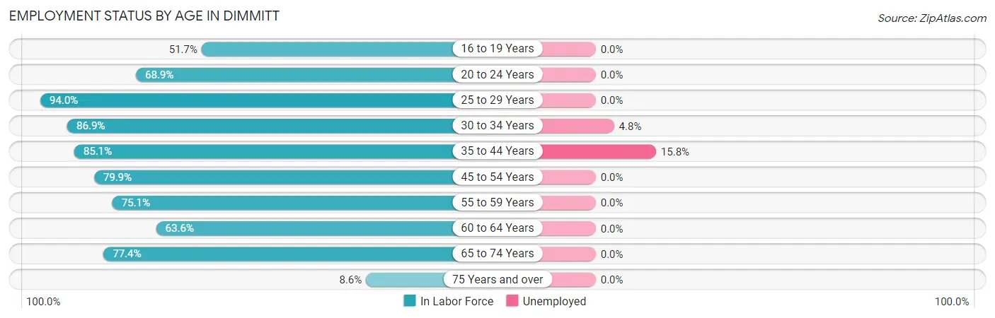 Employment Status by Age in Dimmitt