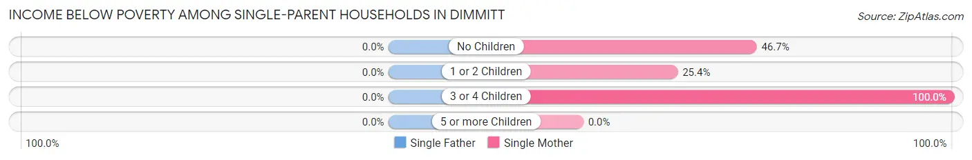 Income Below Poverty Among Single-Parent Households in Dimmitt