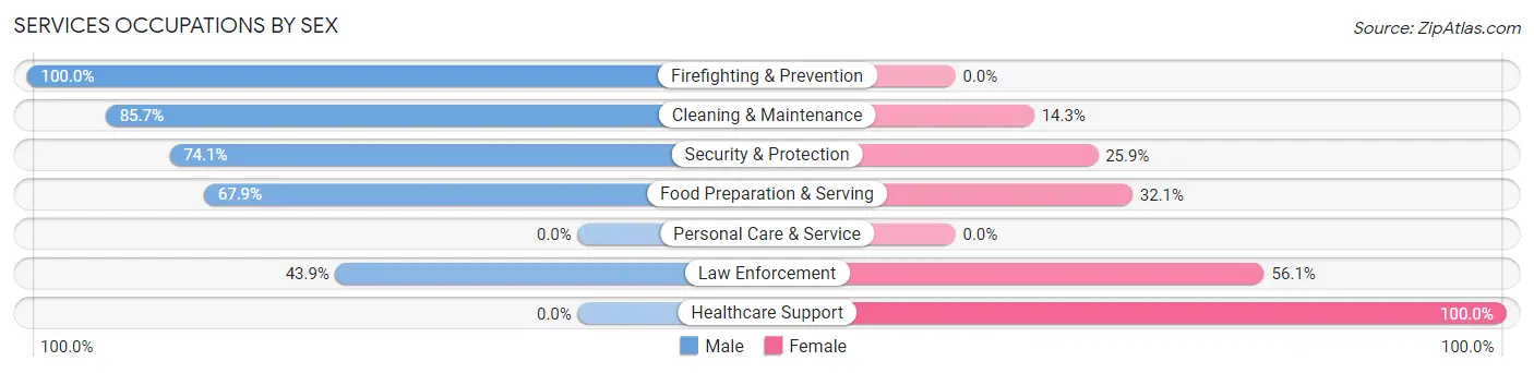 Services Occupations by Sex in Dimmitt