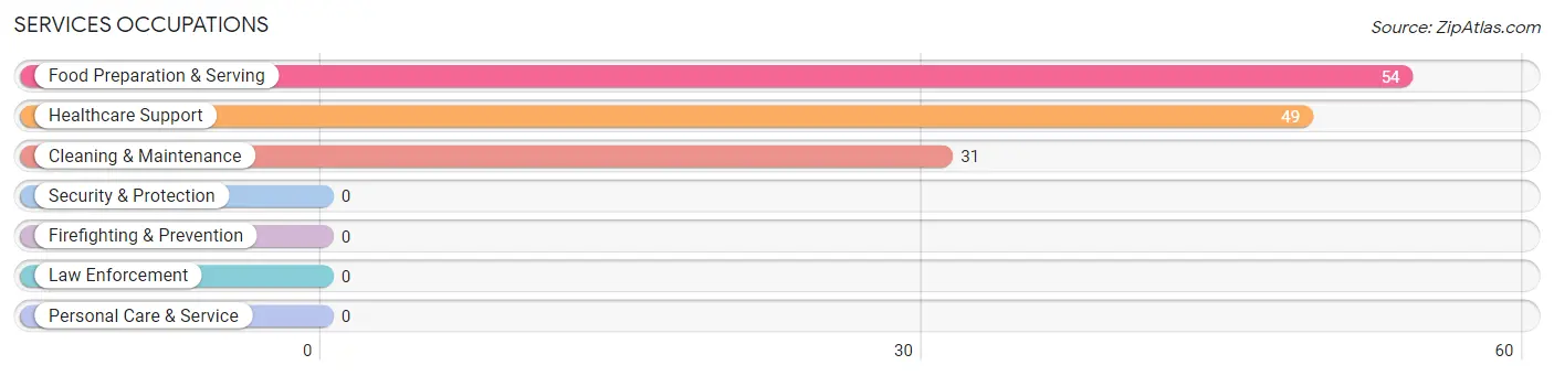 Services Occupations in Dublin