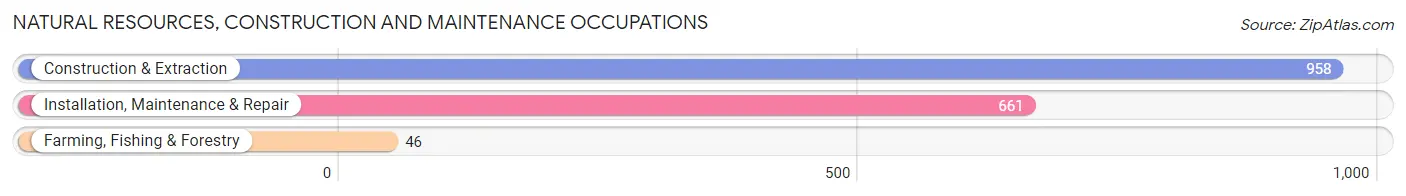 Natural Resources, Construction and Maintenance Occupations in Duncanville