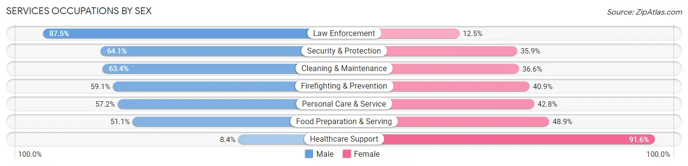 Services Occupations by Sex in Duncanville
