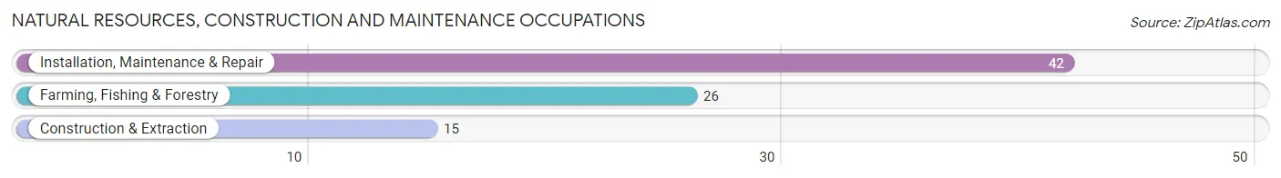 Natural Resources, Construction and Maintenance Occupations in Early