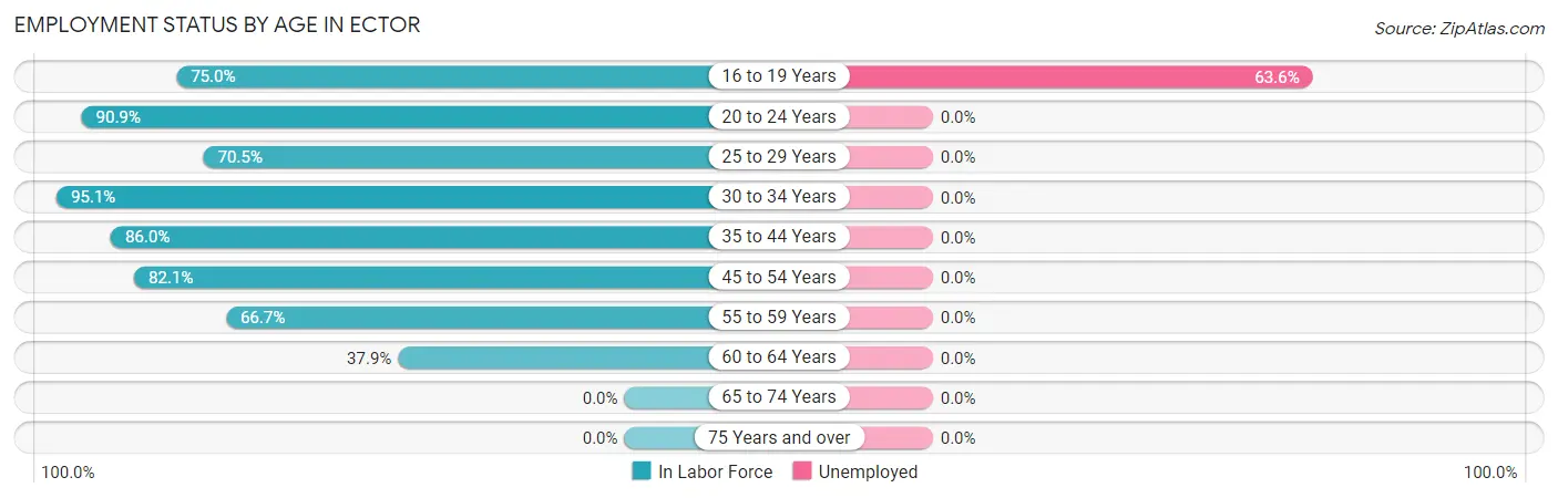 Employment Status by Age in Ector