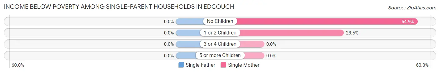 Income Below Poverty Among Single-Parent Households in Edcouch