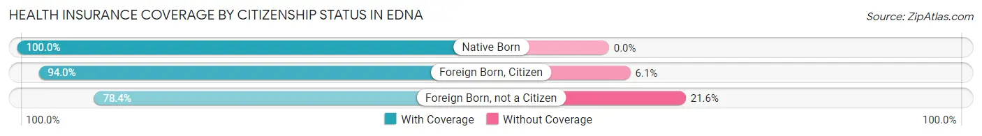 Health Insurance Coverage by Citizenship Status in Edna