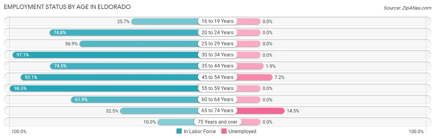 Employment Status by Age in Eldorado
