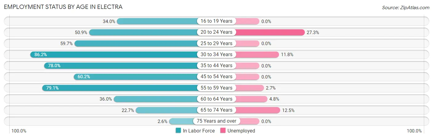 Employment Status by Age in Electra