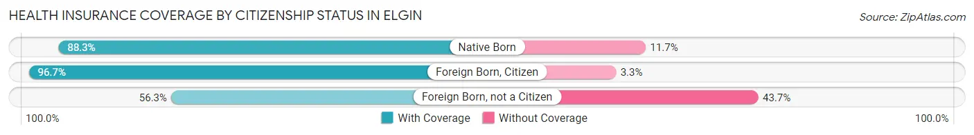 Health Insurance Coverage by Citizenship Status in Elgin