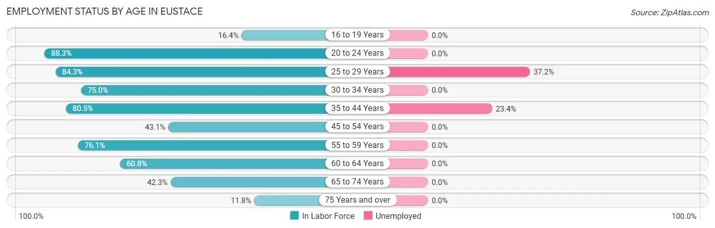 Employment Status by Age in Eustace