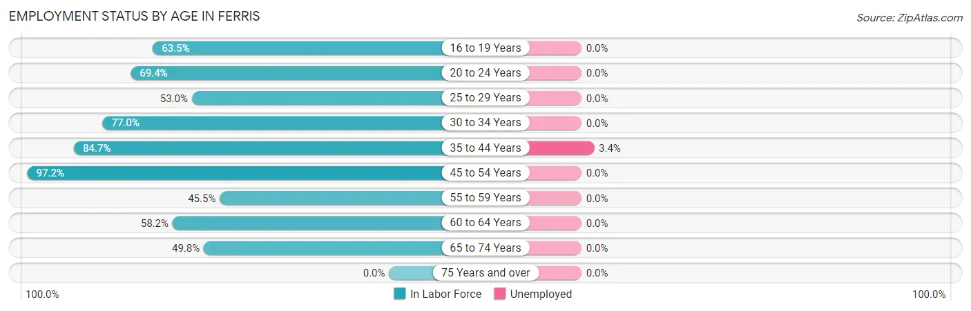 Employment Status by Age in Ferris