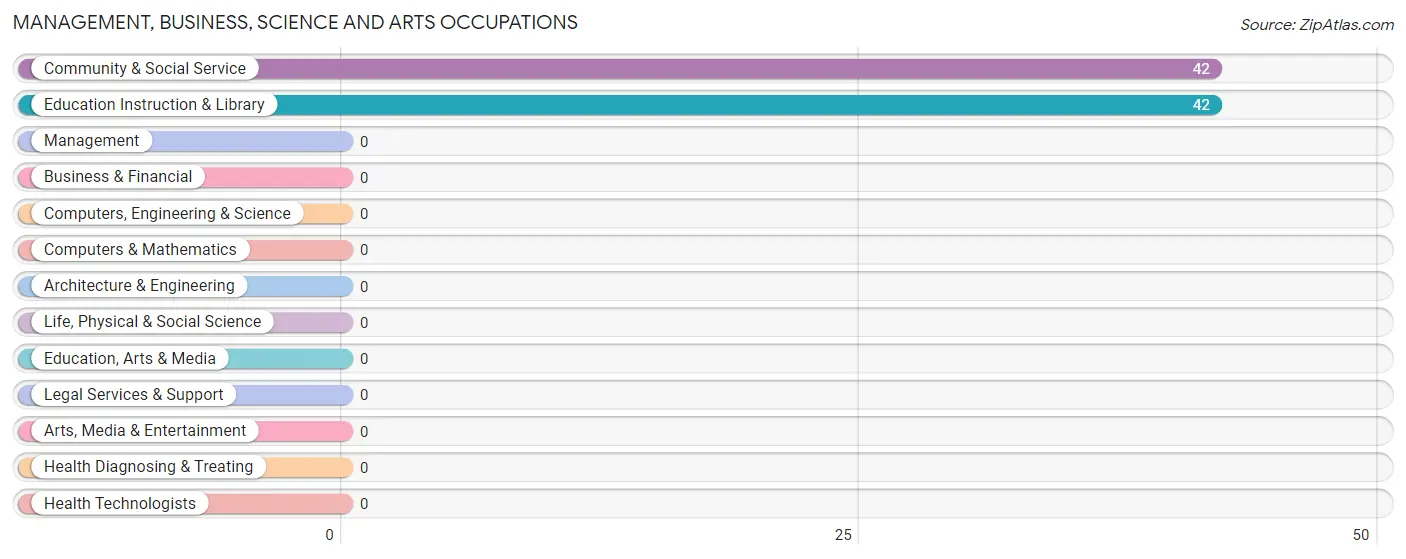 Management, Business, Science and Arts Occupations in Fort Hancock