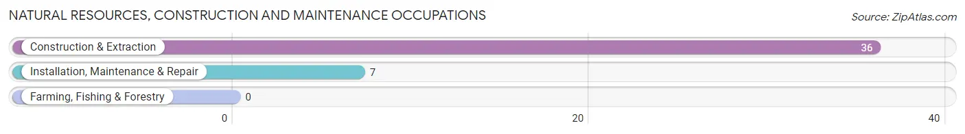 Natural Resources, Construction and Maintenance Occupations in Frankston