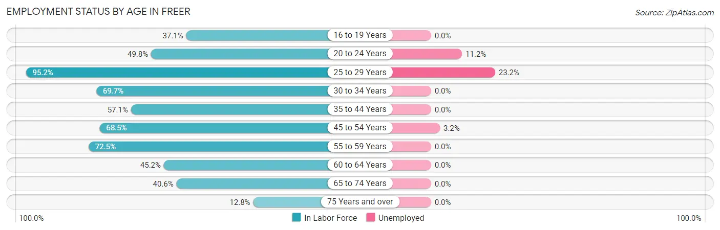 Employment Status by Age in Freer