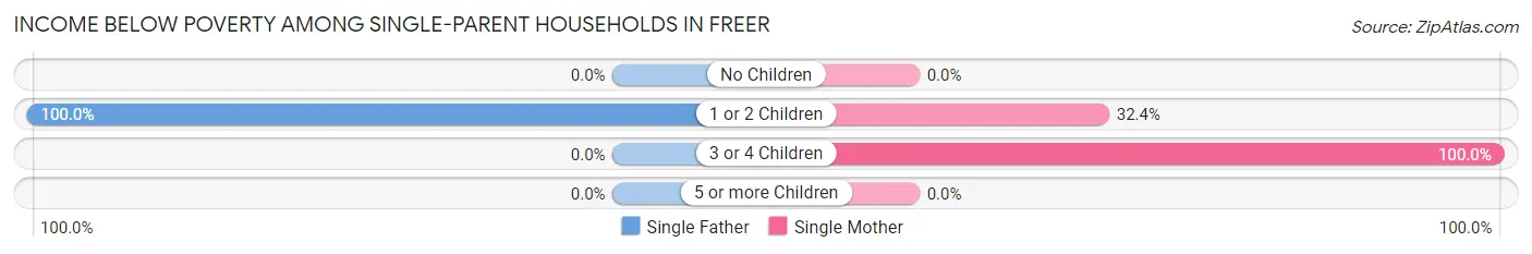 Income Below Poverty Among Single-Parent Households in Freer
