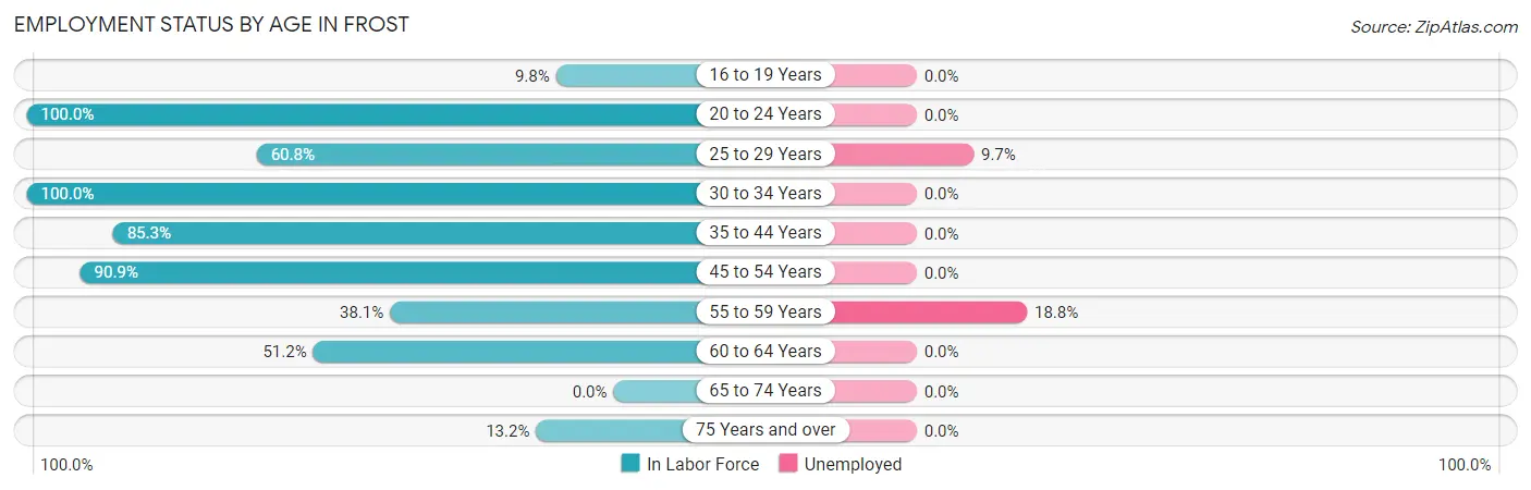 Employment Status by Age in Frost