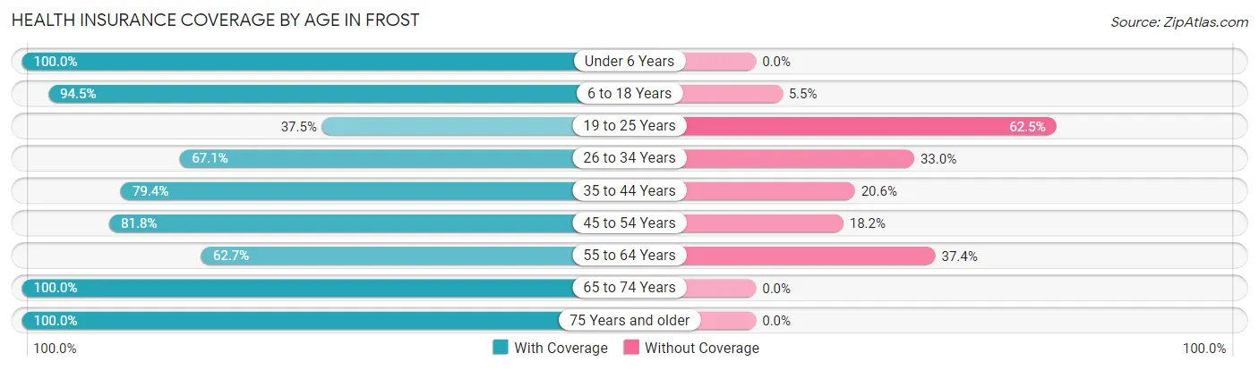 Health Insurance Coverage by Age in Frost
